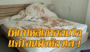 ให้คนต่างชาติเช่า